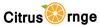 Citrus Ornge logo